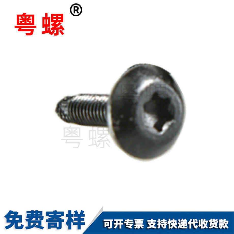 生產(chǎn)異形山南非標螺絲