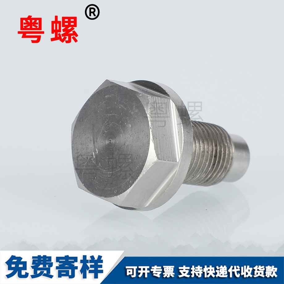 畢節(jié)304畢節(jié)不銹鋼螺絲