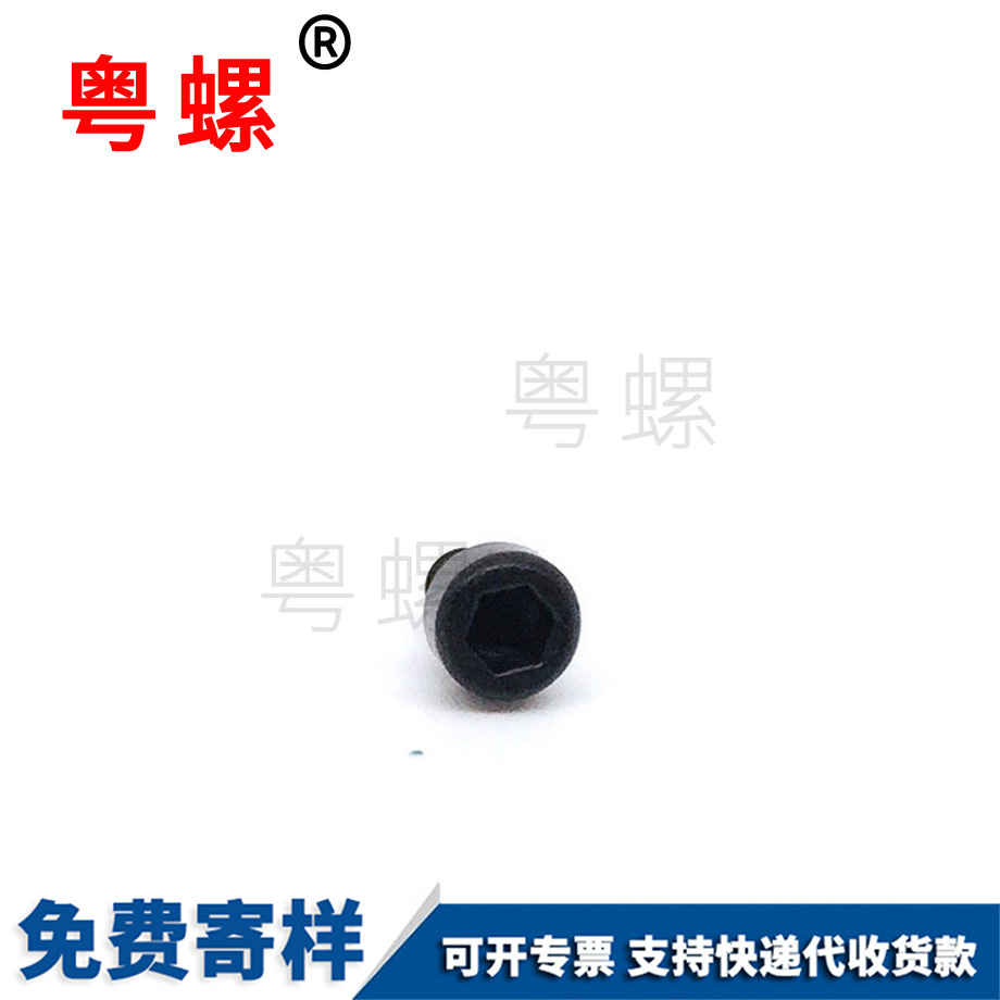 生產(chǎn)杯頭梅花張掖自攻螺絲