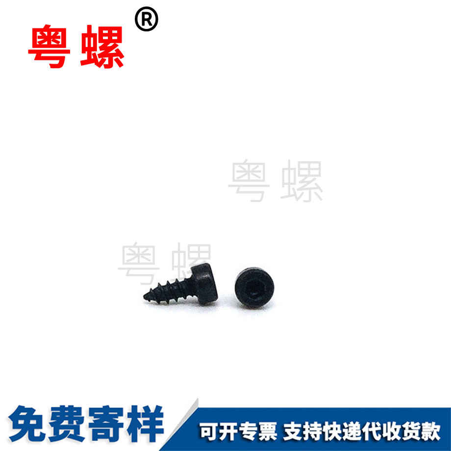 定做大慶杯頭大慶大慶內(nèi)大慶六角大慶自攻螺絲