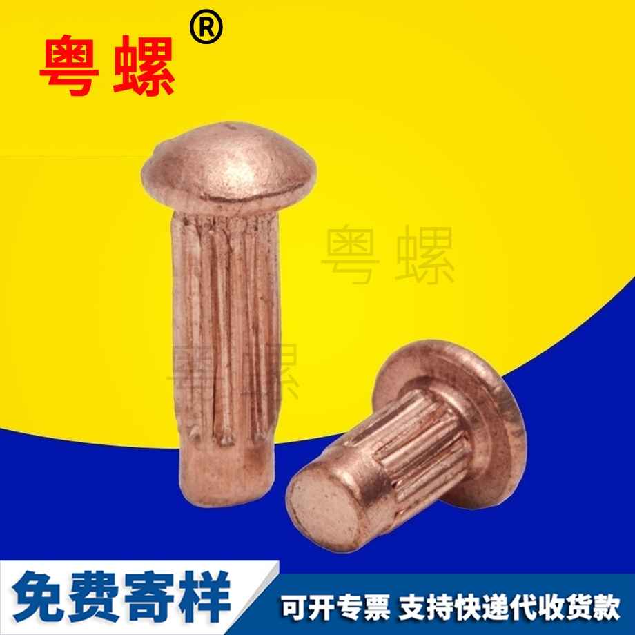 畢節(jié)紫畢節(jié)銅鉚釘
