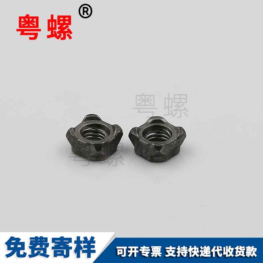 西藏四角帶點帶爪螺母