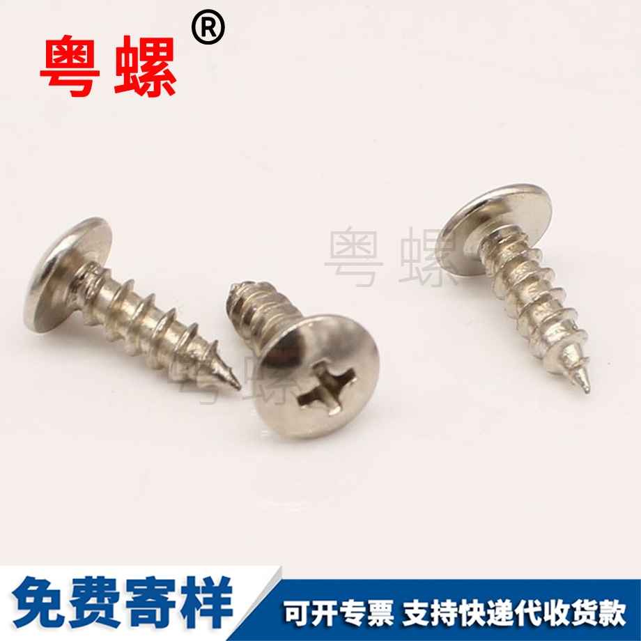 畢節(jié)大扁頭自攻
