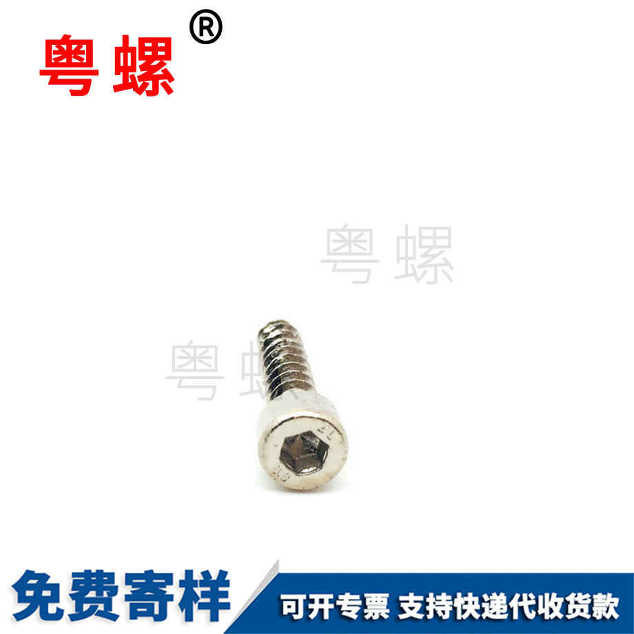 供應(yīng)碳鋼加硬拉薩自攻螺絲